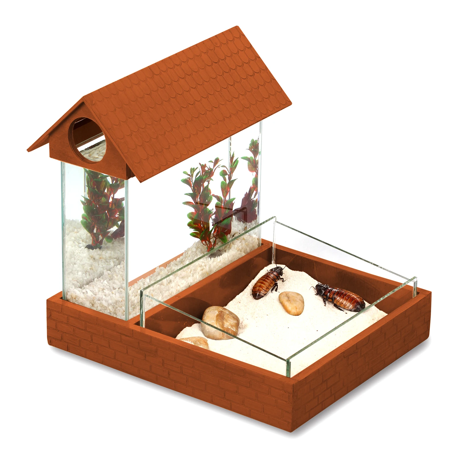 Аквариум для аквариумной рыбки Петушок 3 8 литра. Небольшой террариум. Цвет Орех. |