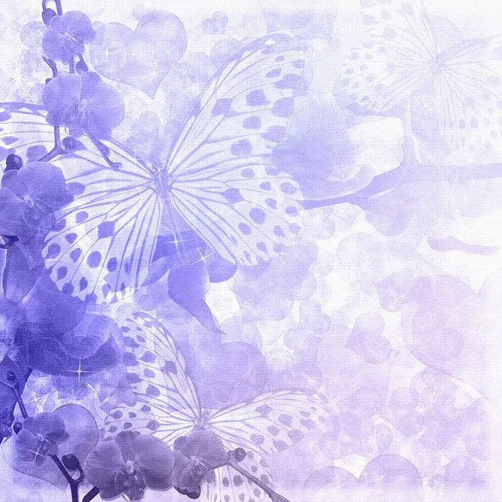 

Curtain Butterflies and Orchids Flowers Summer Bloom Garden Artistic Floral Photo Purple White