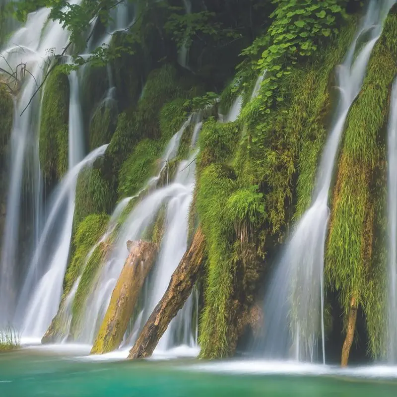 

Curtain in Waterfalls Plitvicka Jezera National Park Croatia Lake Trees Summer Nature Landscape Green White