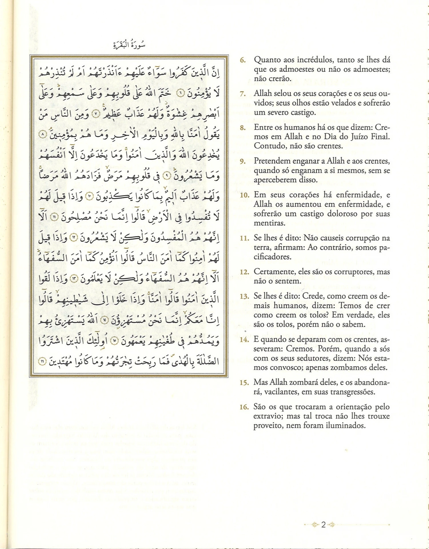 Книга Корана и перевод в португальском Коране мягкая обложка бумажной обложке