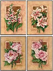 Счетный крест Наборы рукоделие-ремесел 14 ct Аида DMC Цвет DIY искусство домашнего декора-цветы Фреска