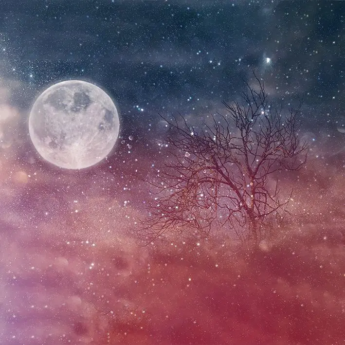 

Curtain Tree with Bare Branches and Night Sky Full Moon Stars Surreal Fantasy Artwork Printed Blue Burgundy White