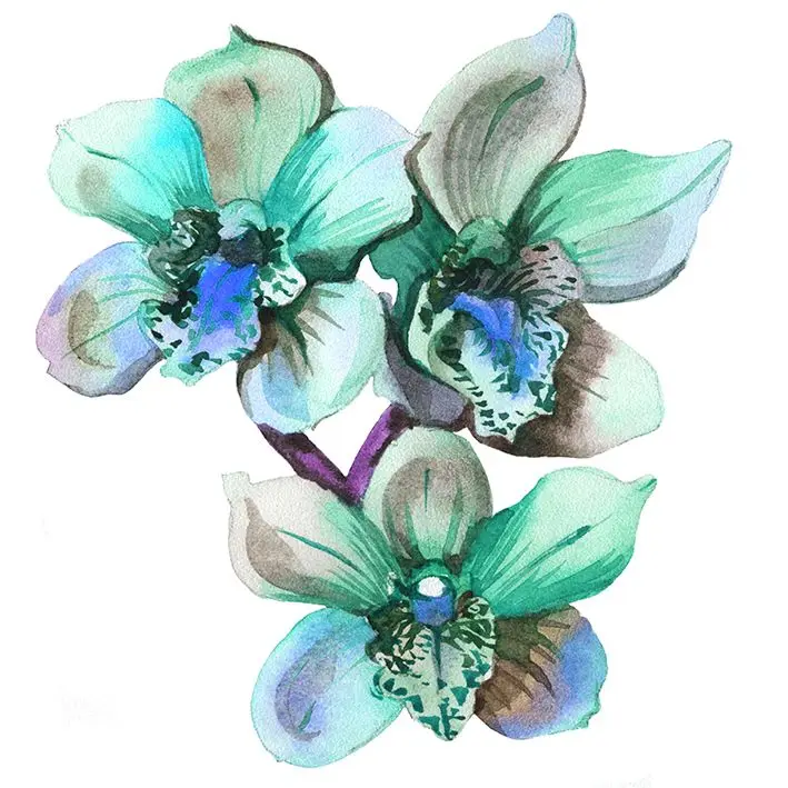 

Curtain Orchid Flowers Branch Classic Style Watercolor Painting Artwork Printed Green Blue White