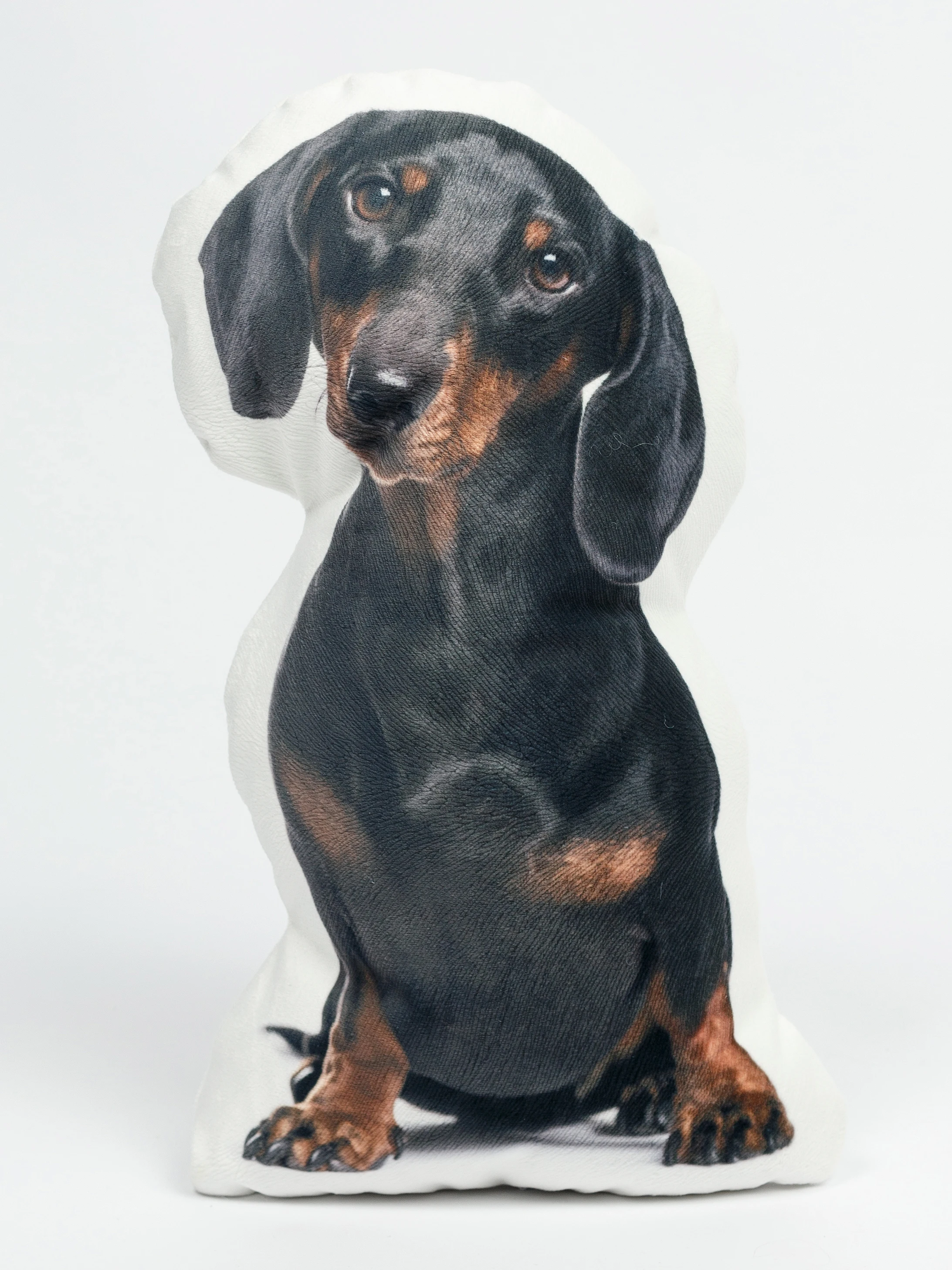 Подушка декоративная PRINT Такса 40x26 |