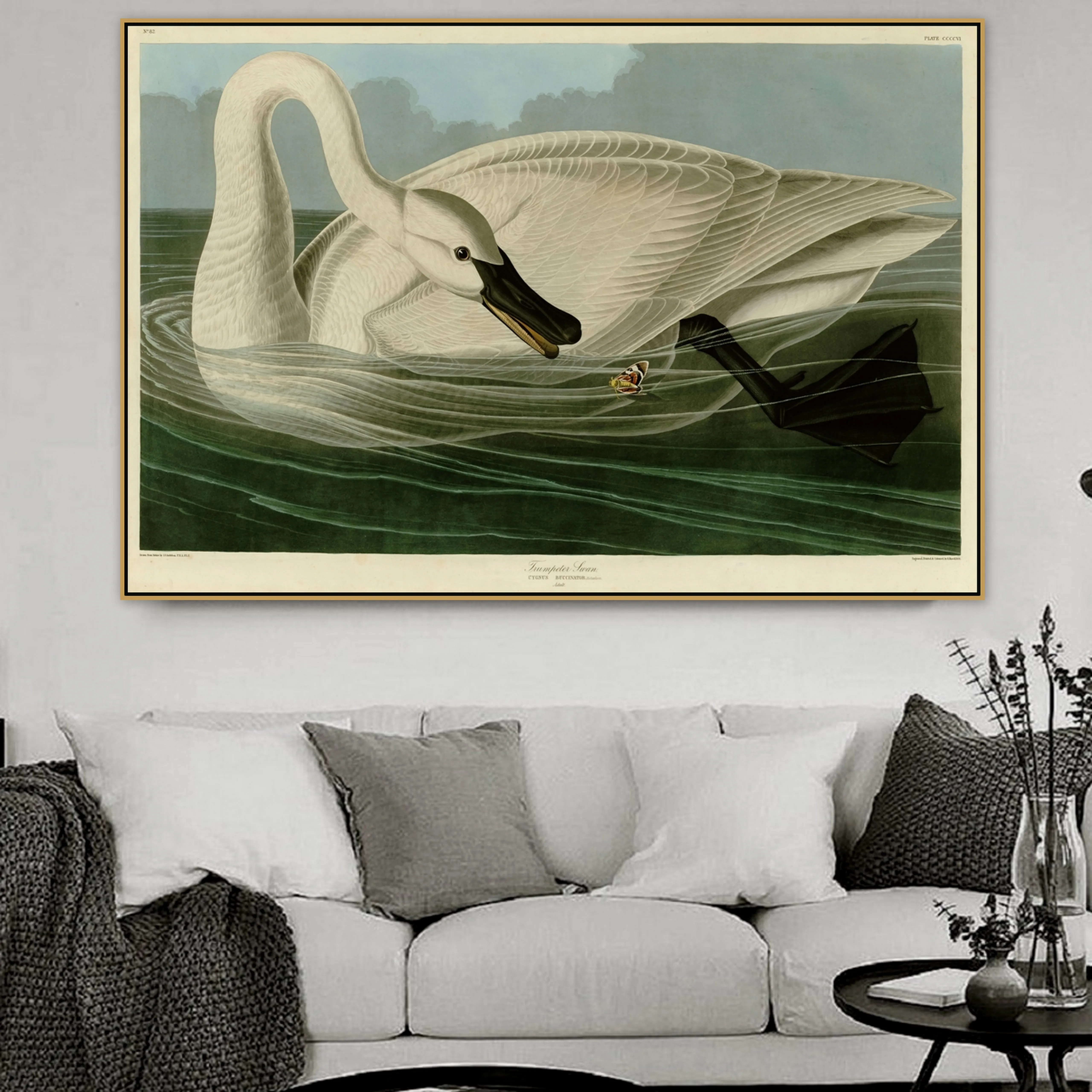 Джон Джеймс аудубон старый известный мастер художник Trumpeter Swan I холст картина