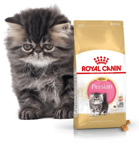 Royal Canin Persian Kitten корм для котят персидской породы 10 кг | Дом и сад