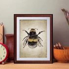 Шмель пчела акварельная картина насекомое природа фермерский настенный художественный Рисунок энтомологический художественный плакат настенное украшение для детской комнаты