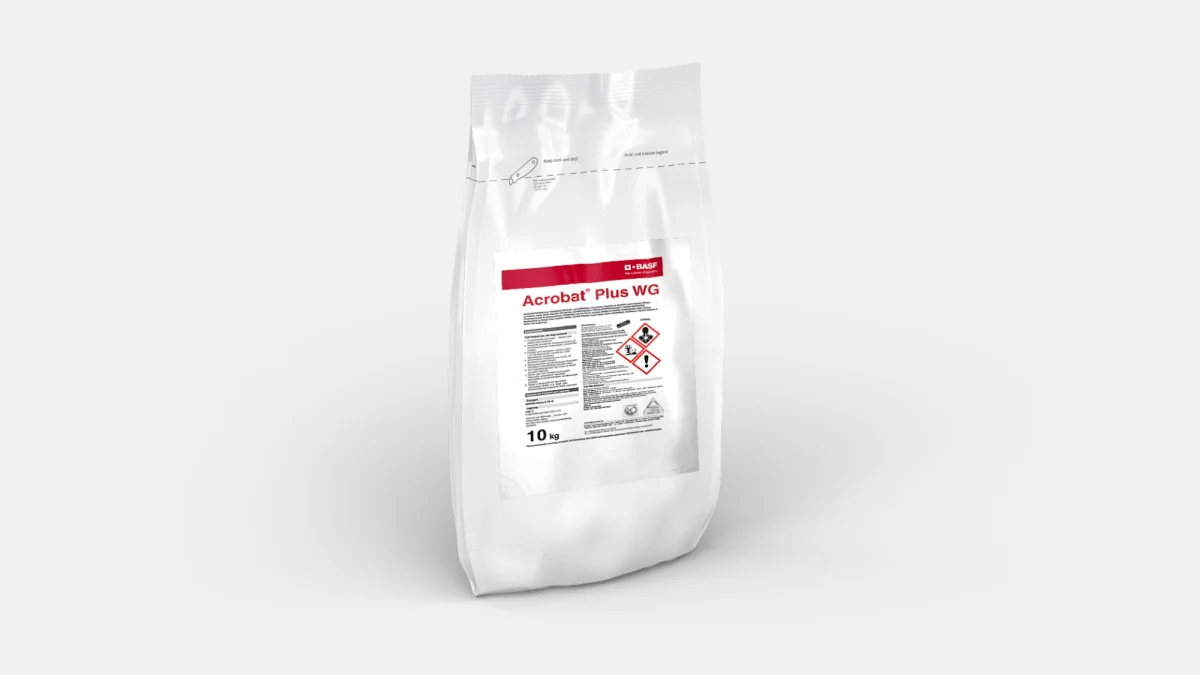 

ACROBAT PLUS WG 800 GR