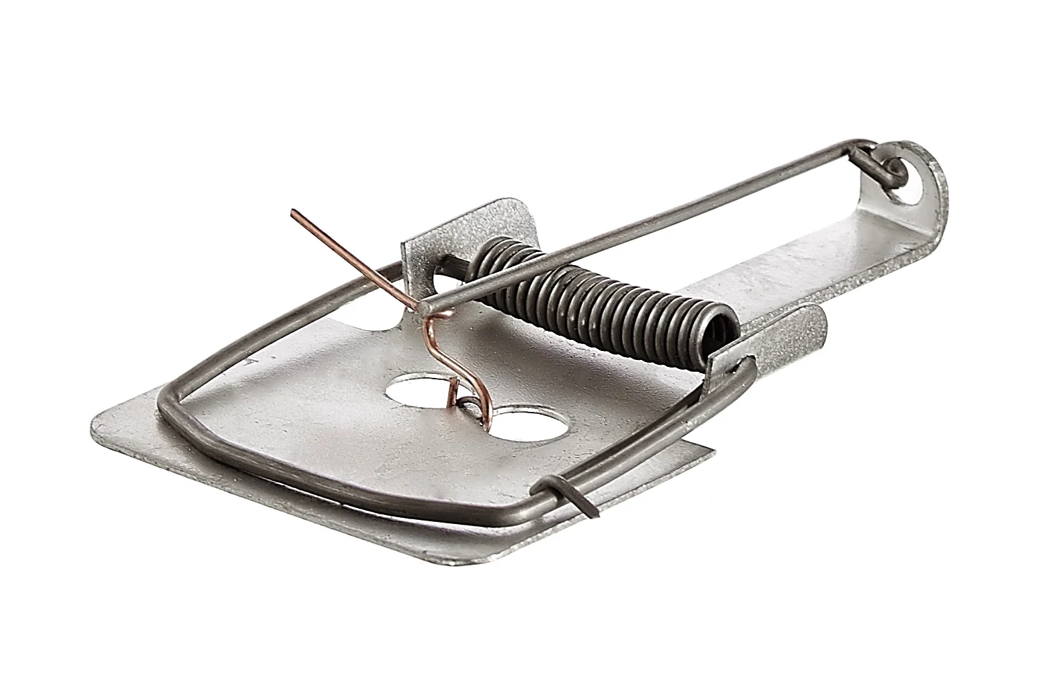 Купить Мышеловку В Спб Адреса Магазинов