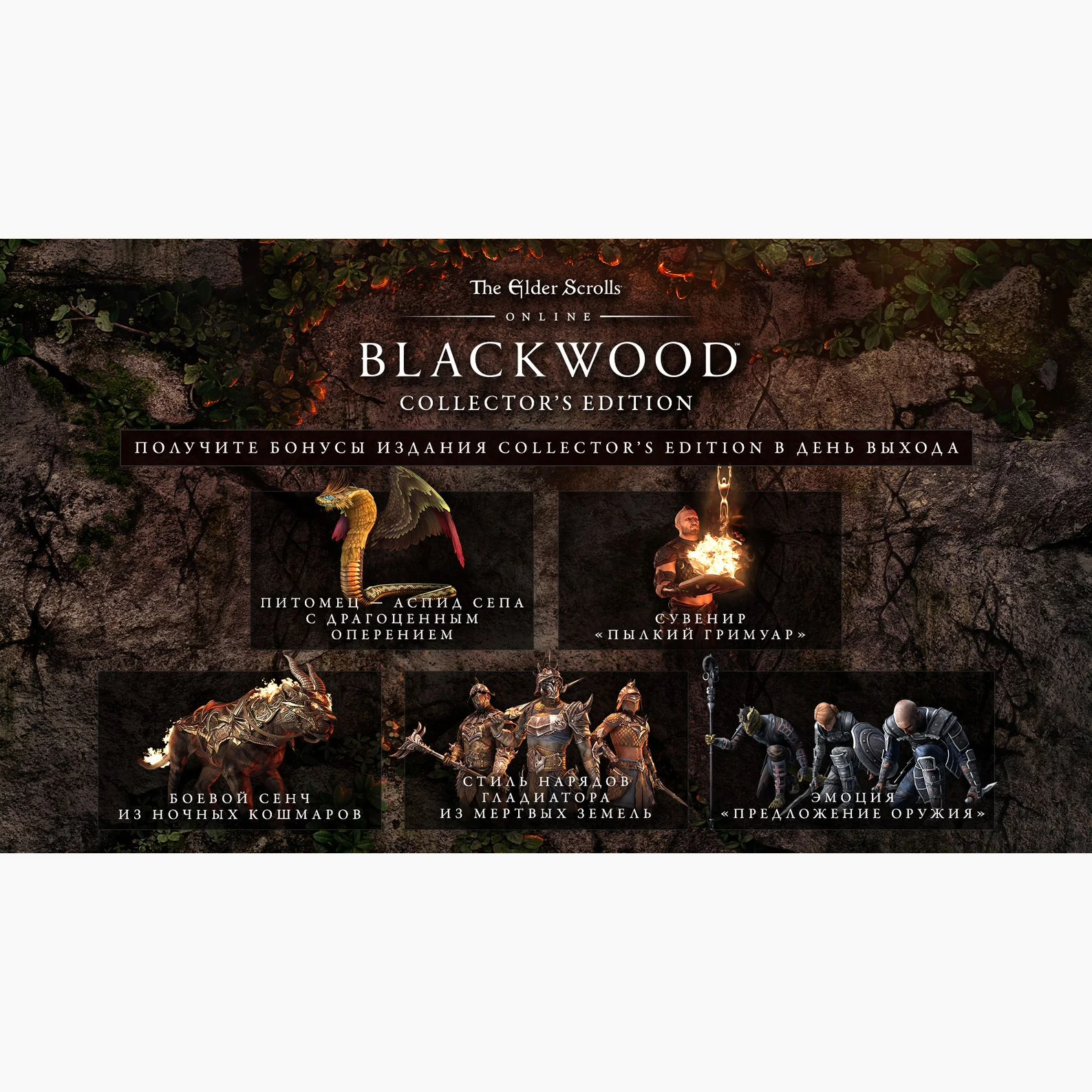 The Elder Scrolls Online: Blackwood - Digital Collector’s Edition Upgrade (Steam) (PC) [цифровая версия] | Цифровые