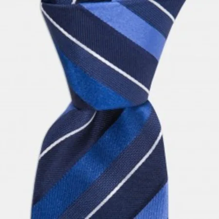

Blue stripe navy blue silk tie 67827994