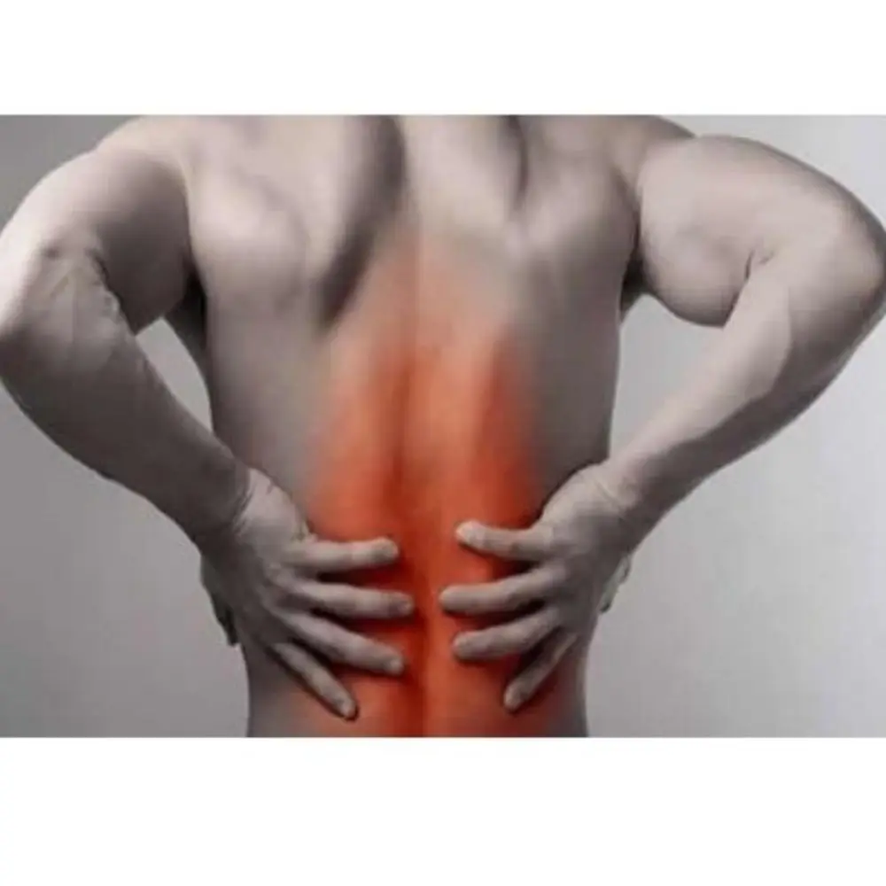 Corset Camel Hair Physical New Therapy Health Hot Men Women Unisex Waist Wool Girdle Hernia Rheumatism and Foot Hand Kidney Diseases Belly Melt Salt İn Good Body Correction Hobby Fashion Standart Easy Use Fast Delivery