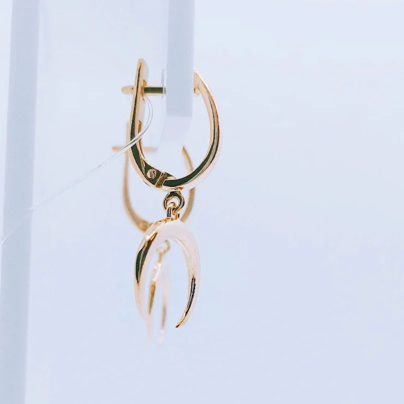 Earrings. The trend of 2022. Women's earrings. &quotLunnitsa&quot. 925 silver. Ms. weight 2.5 gr. | Drop Earrings