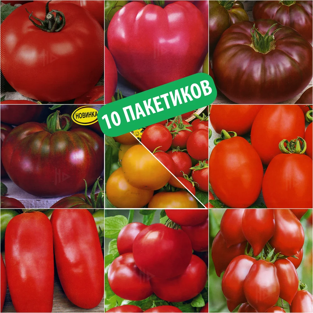 Томаты Королевского Сада Купить Семена