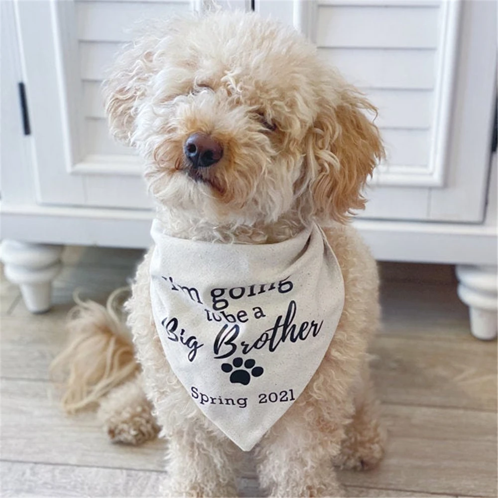 Персонализированные Дата текста Собака Бандана я буду a Big Brother объявление