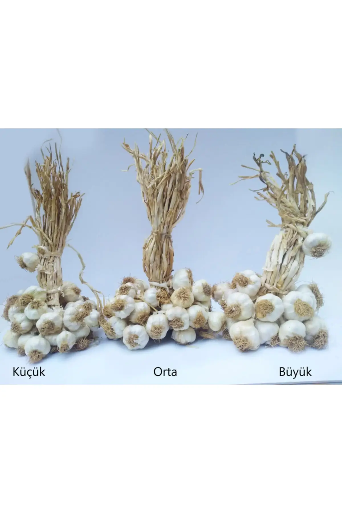 Высокоэффективный шампунь против выпадения волос Bioblas растительные масла 360 мл