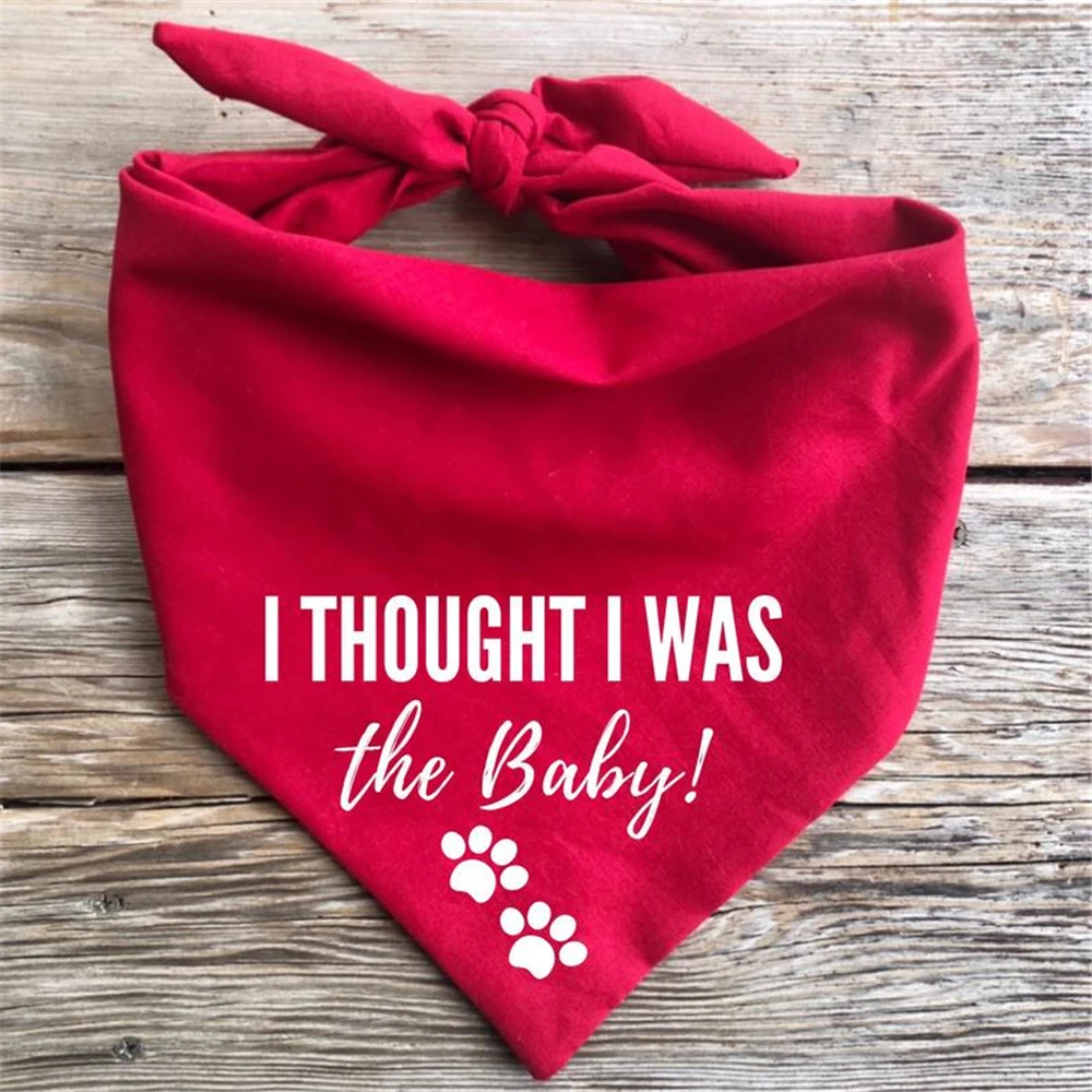 Online perro bandana san valentin