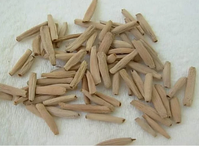 Адениум obesum Сортовые семена сорт Алый рыцарь 5 семян |