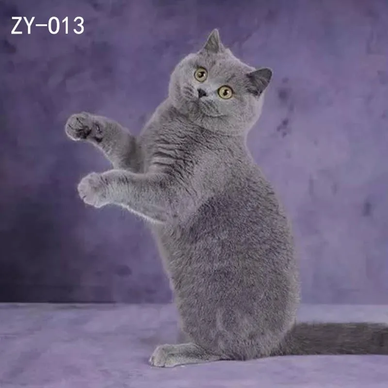

DAWNKNOW Pet Cat Photography Background Backdrop Purple Painting Photocall Muslin Pro Tie-Dyed Shoot Photo Studio Props 2x3M