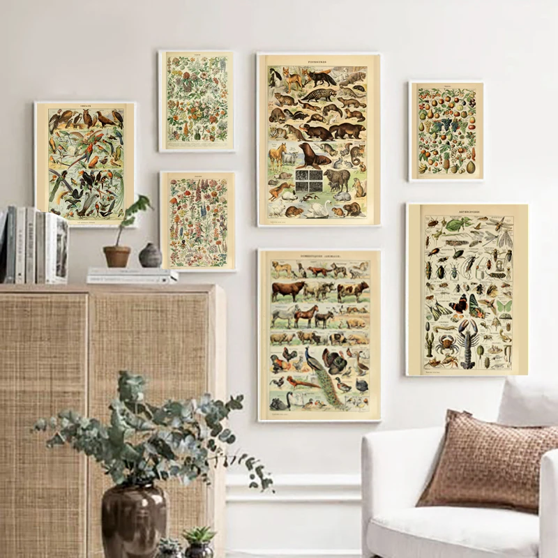 Винтажные иллюстрации природы винтажные плакаты и принты ботанические