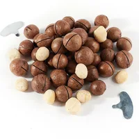 Орехи макадамия#1