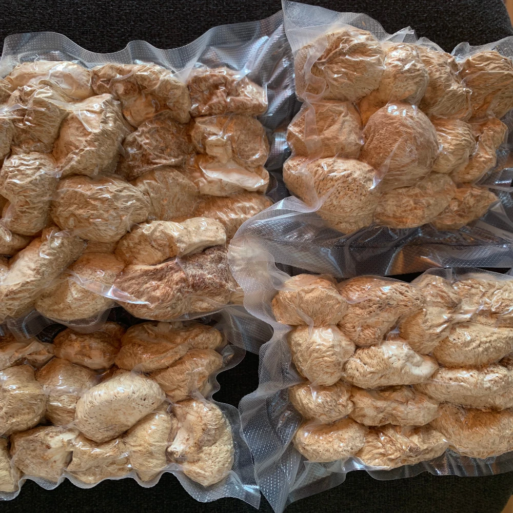 Ежовик гребенчатый сушеный,микродозинг,плодов...