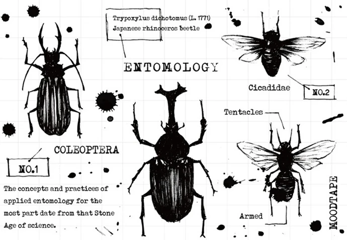 

Задний фон для скрапбукинга прозрачный силиконовый каучук DIY Декор для фотоальбома