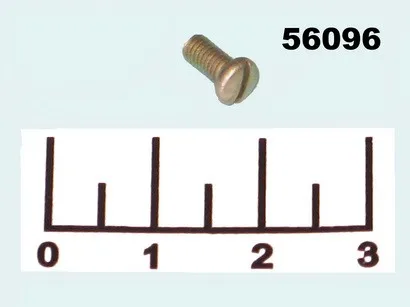 Винт М3*6мм (1 штука) |