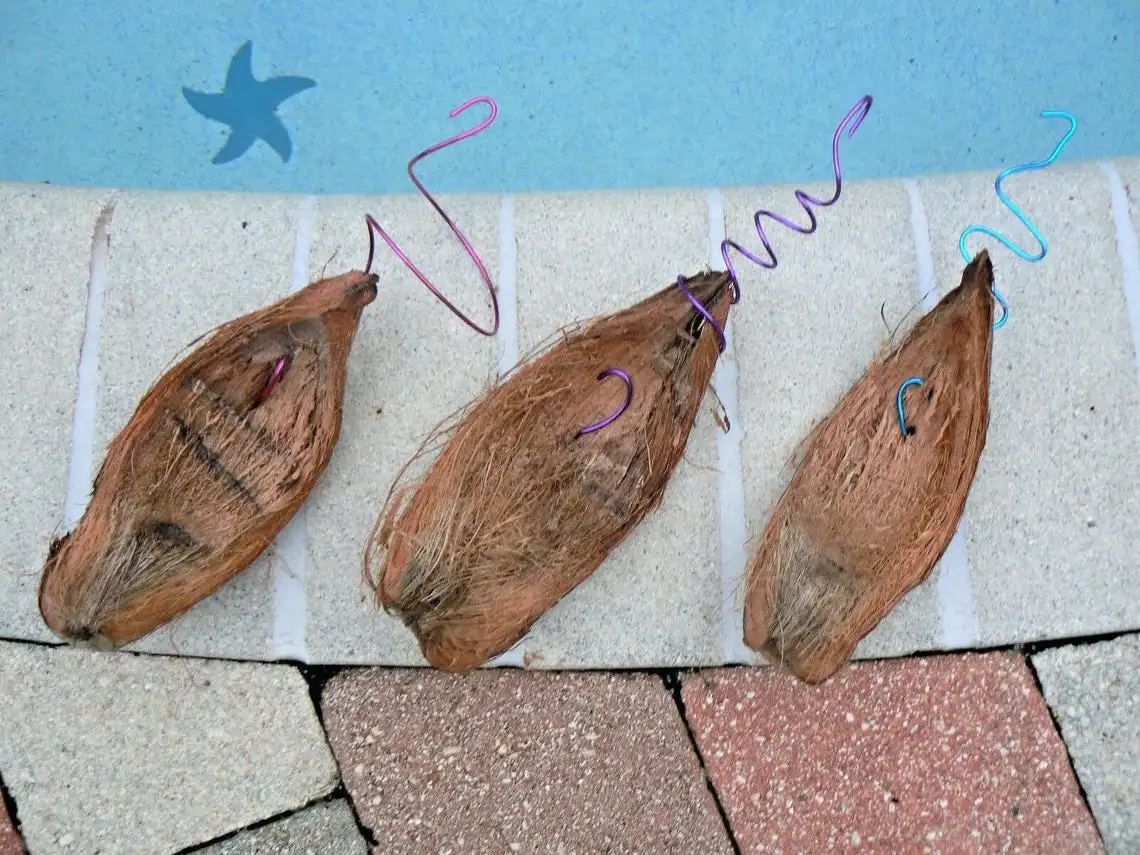 Орхидея тилландия Кокосовая шелуха с вешалкой набор из 3 тропических растений