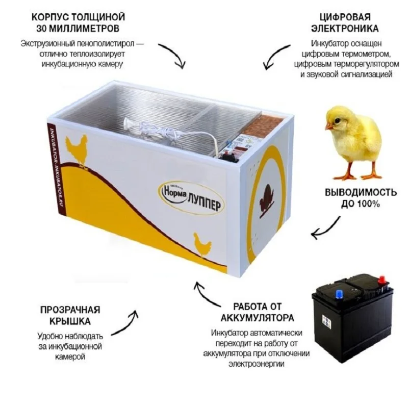 инкубатор mini egg incubator. 45 автоматический роликовый инкубатор для яиц, зеленый с серебром. автоматический инкубатор модели mjwx64. какой инкубатор выбрать отзывы. инкубатор new life для перепелов 200яиц.