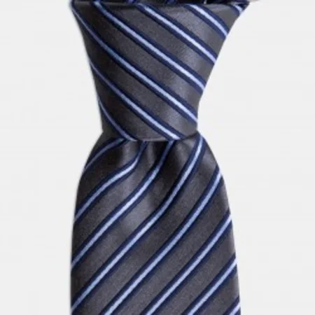 

Anthracite And Blue Striped Silk Tie 67825349