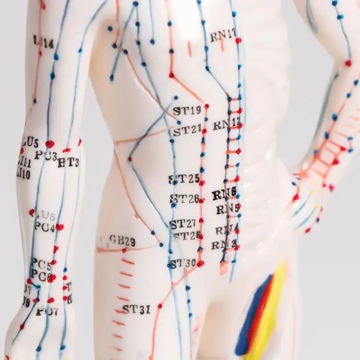 Модель для акупунктуры мужчина 26 см |