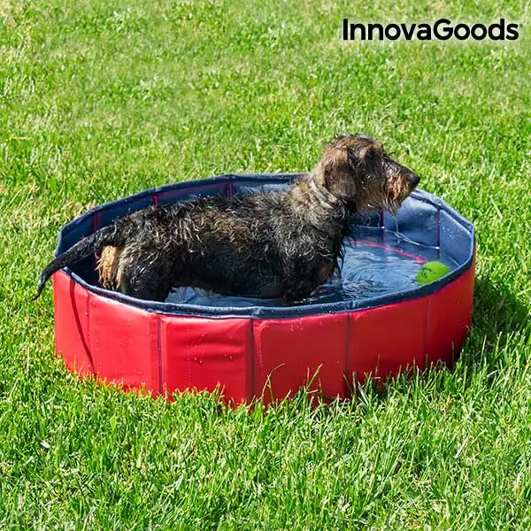 Бассейн для домашних животных InnovaGoods