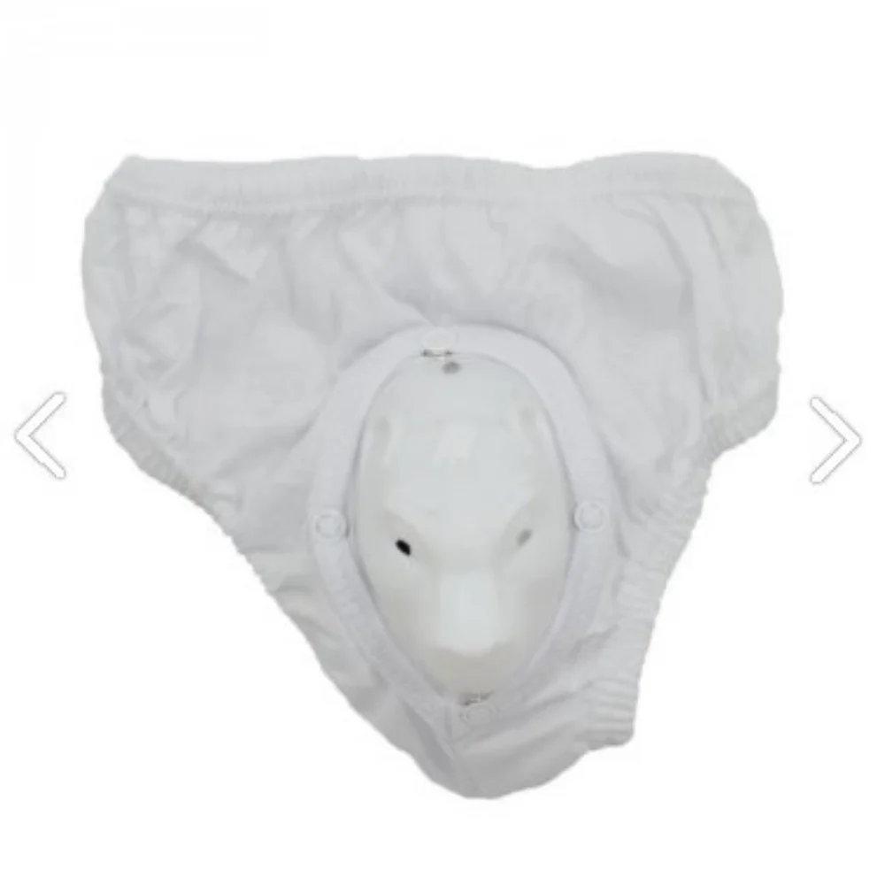 

Circumcision Protective Briefs 100% Cotton Refreshing Inner Surface Comfortable Quality Boy Child Mother Natural Walking White Lion Healthy Gift 2022 Special Parent Use Spring Summer Handsome Fast Shipping With Box