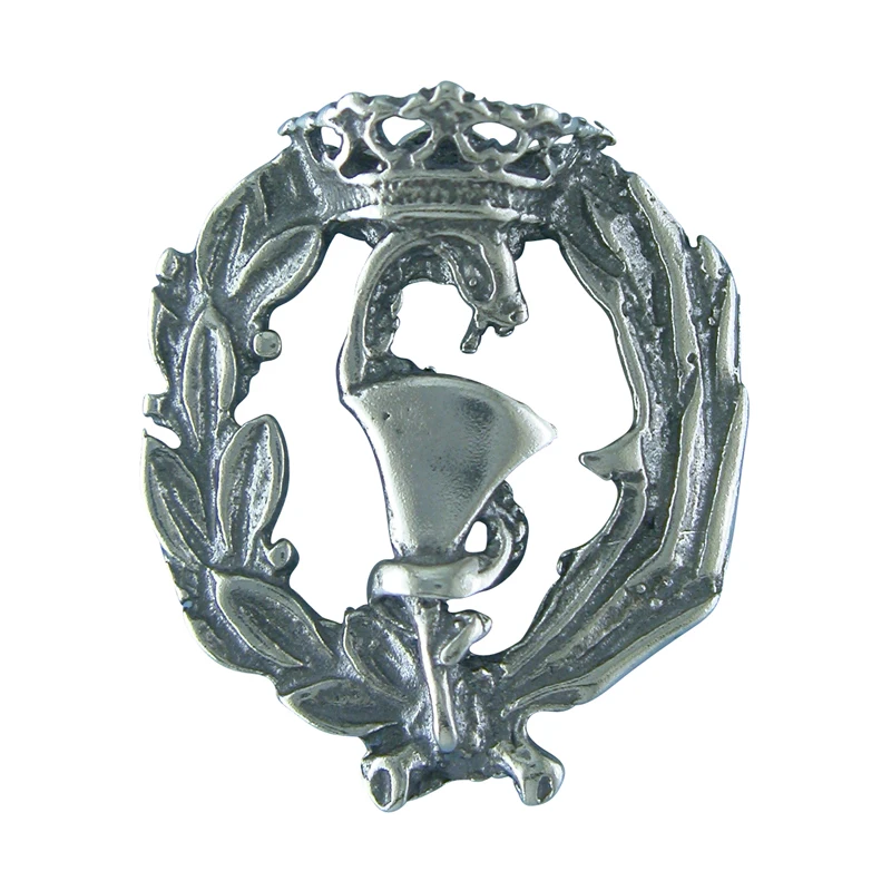 Alylosilver Pin Insignia Plata De Ley Farmacia Con Estuche Para gift|Украшения для волос броши и украшения тела|