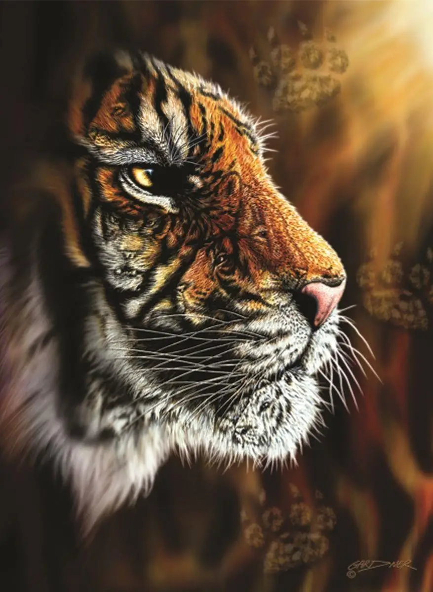 

Anatolian Puzzle Wild Tiger 1000 Piece Jigsaw Puzzle fun toys gift wall decoration for Adults Teenagers