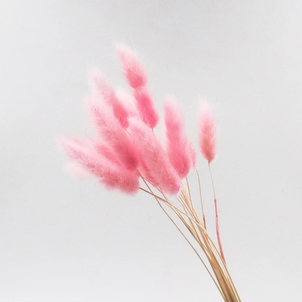 60 шт./пакет настоящие цветы для украшения дома компоновка хвост кролика трава