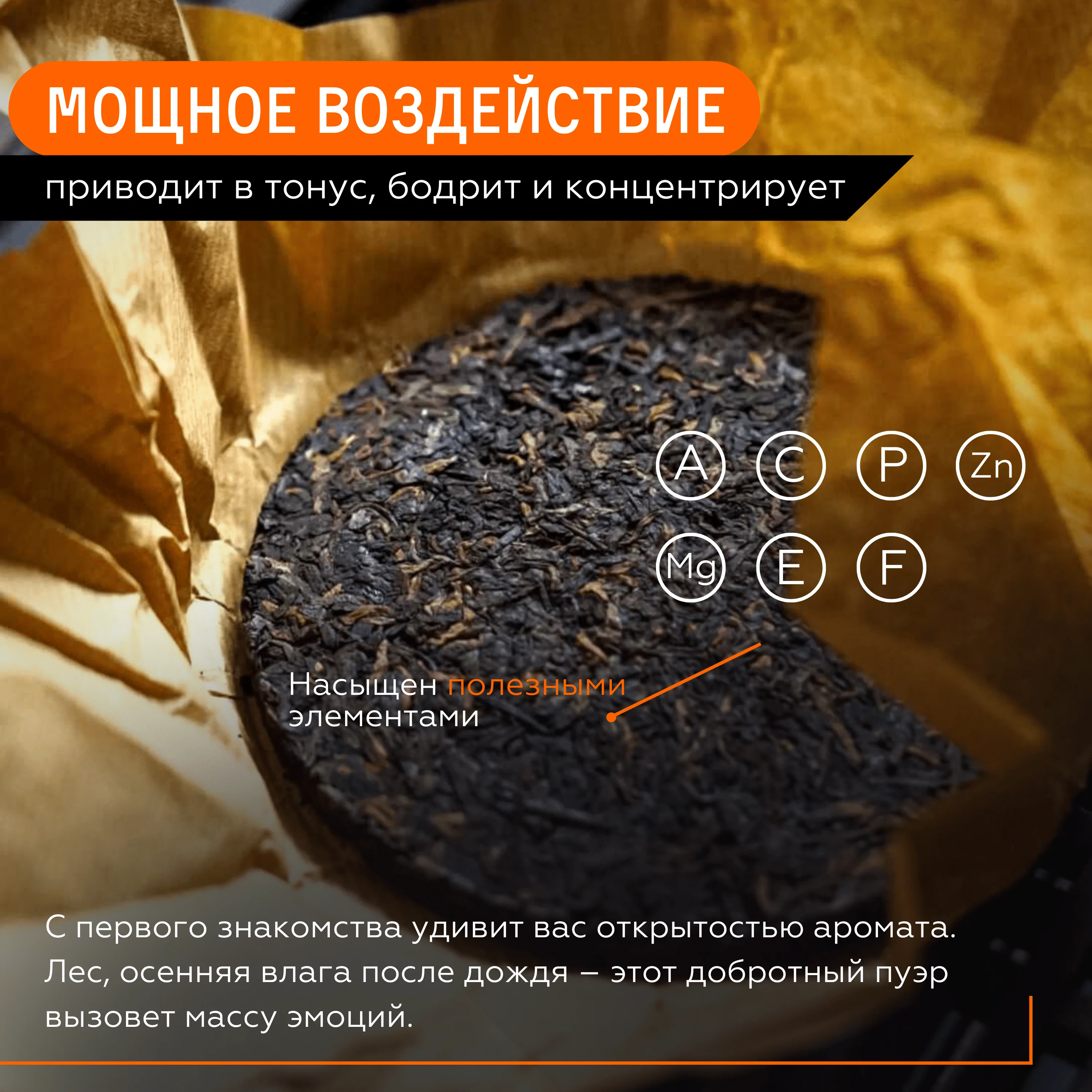 Чай Пуэр Шу Дикие Кусты от Чайной Мастерской | Китайский Прессованный Черный В