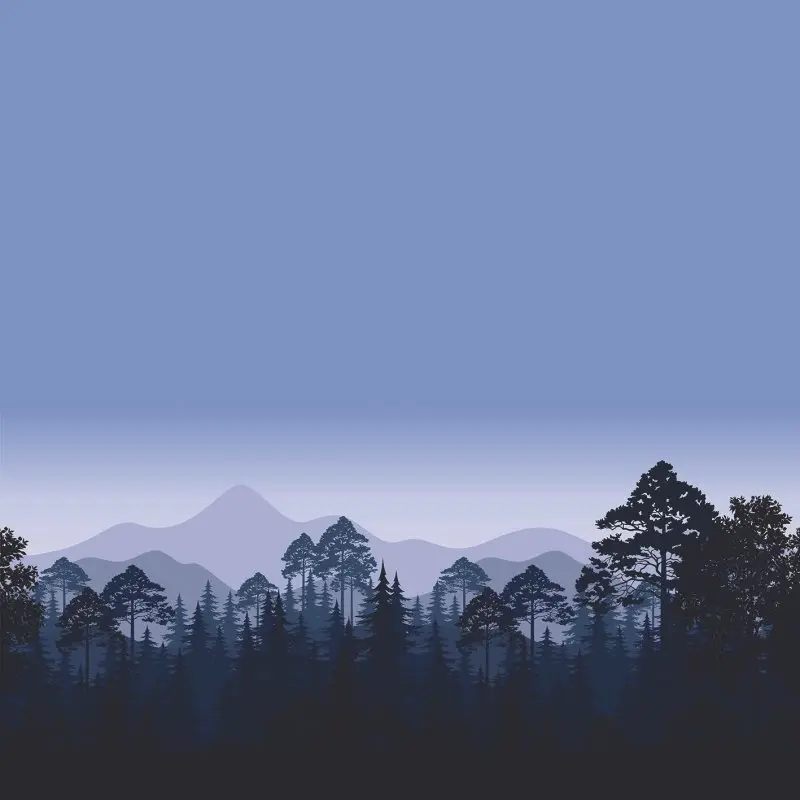 Шторы Ночной лес горизонтальный Пейзаж Деревья и горы Силуэт черный темно синий