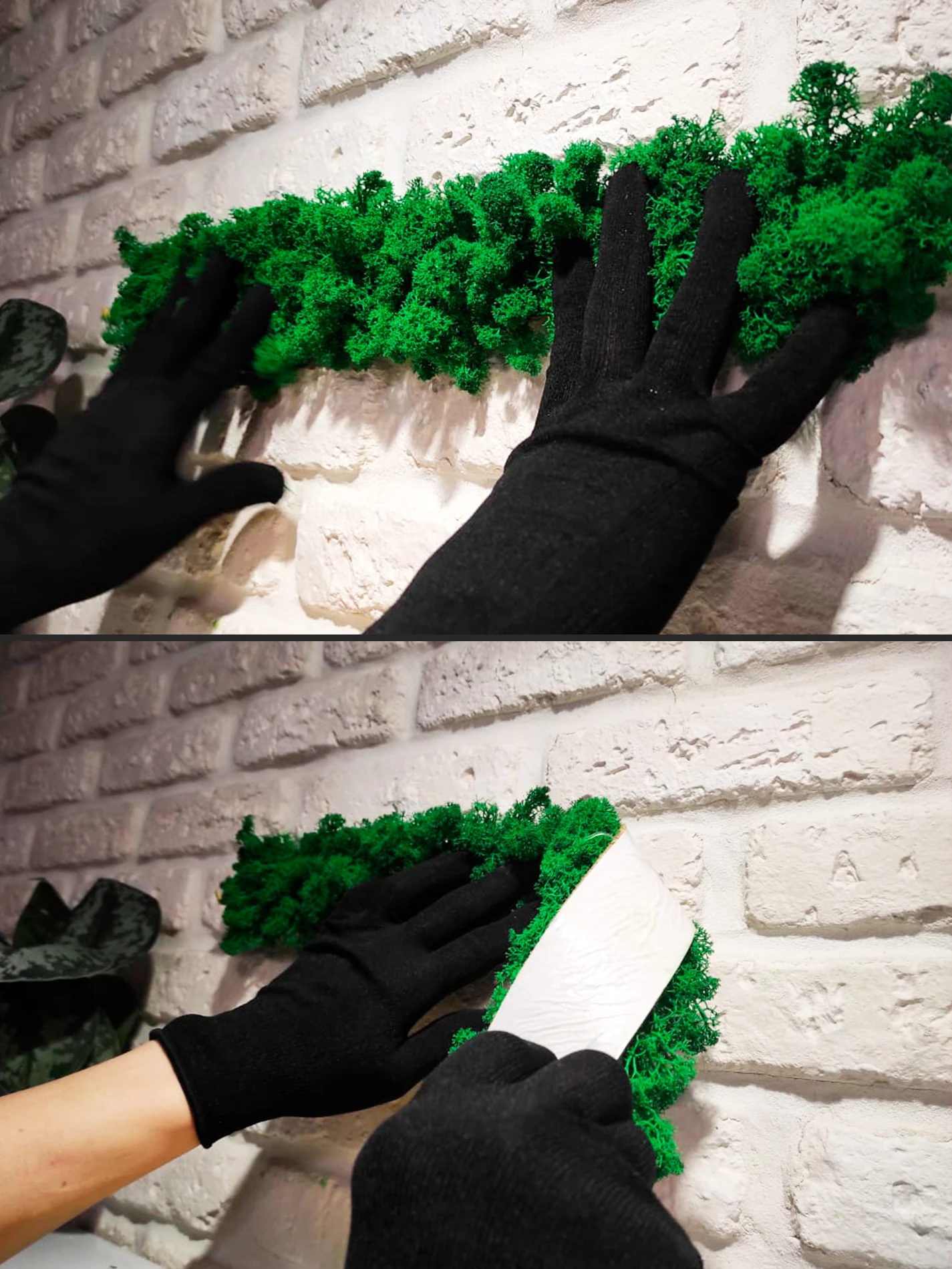 Лента из стабилизированного мха 50х5см ( самоклеющаяся) декор для дома украшение