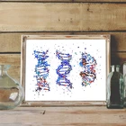 Современная медицинская Картина на холсте с молекулярным принтом, структура DNA, биологический постер, Настенная картина, лаборатория, офисный Декор