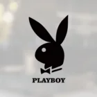 Наклейка на автомобиль PlayBoy