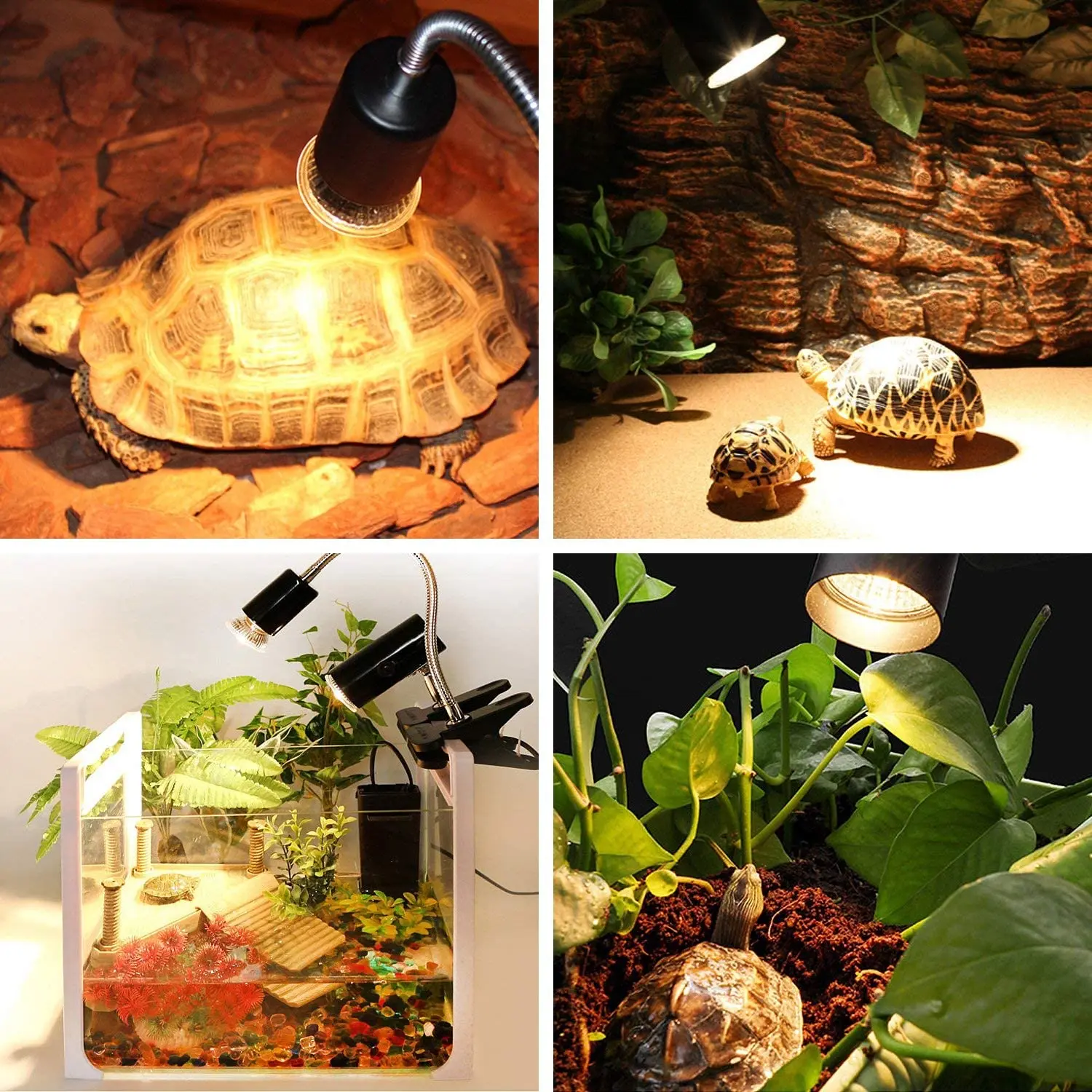 

Reptile Lamp 25/50W UVA+UVB 3.0 Pet Heat Lamp Bulb Turtle Basking UV Light Bulbs Amphibians Lizards Temperature Controller