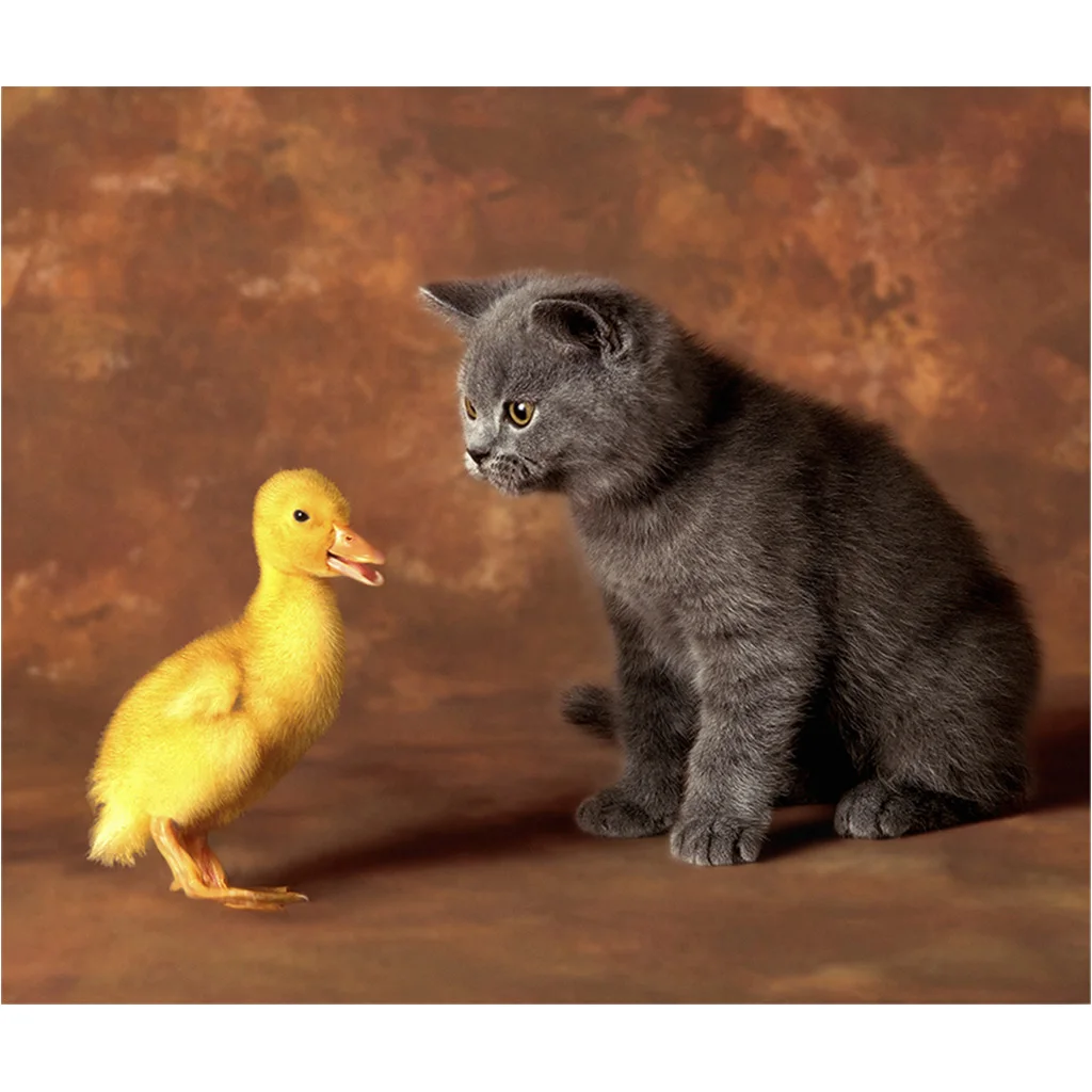 Постер на холсте ХитАрт &quotКотенок и утенок&quot | Дом сад
