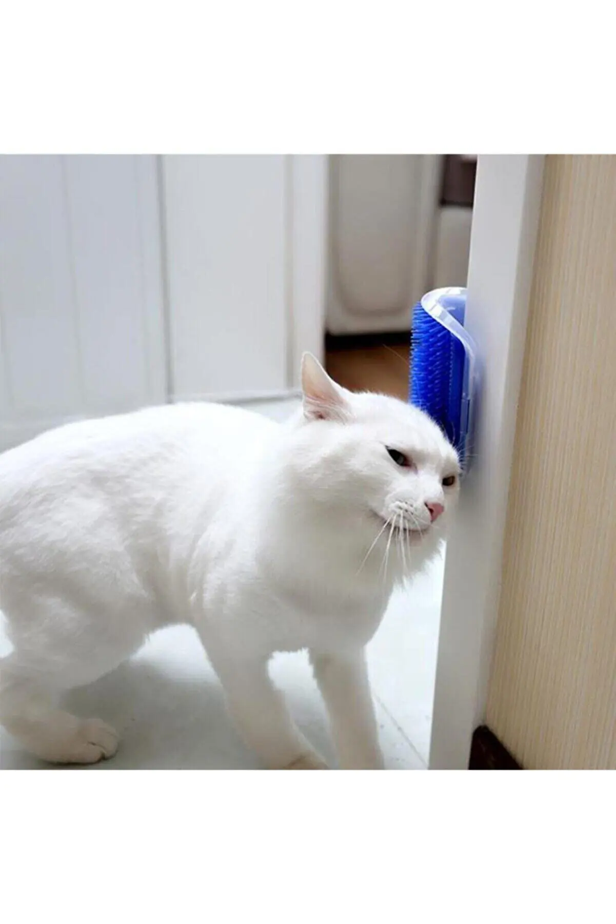 

Practical Cat Feather Scratching And Scan Bracket Wall Mounted Scratching Tool New Generation High Quality Blue Color Flexible Convenient Multi good