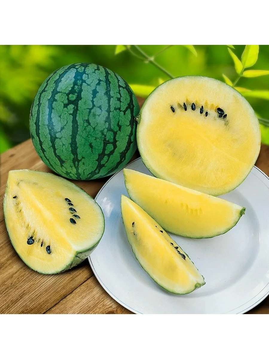 голден грейс арбуз. большой арбуз. арбуз со вкусом дыни. желтые арбузы семко. арбуз со вкусом дыни.