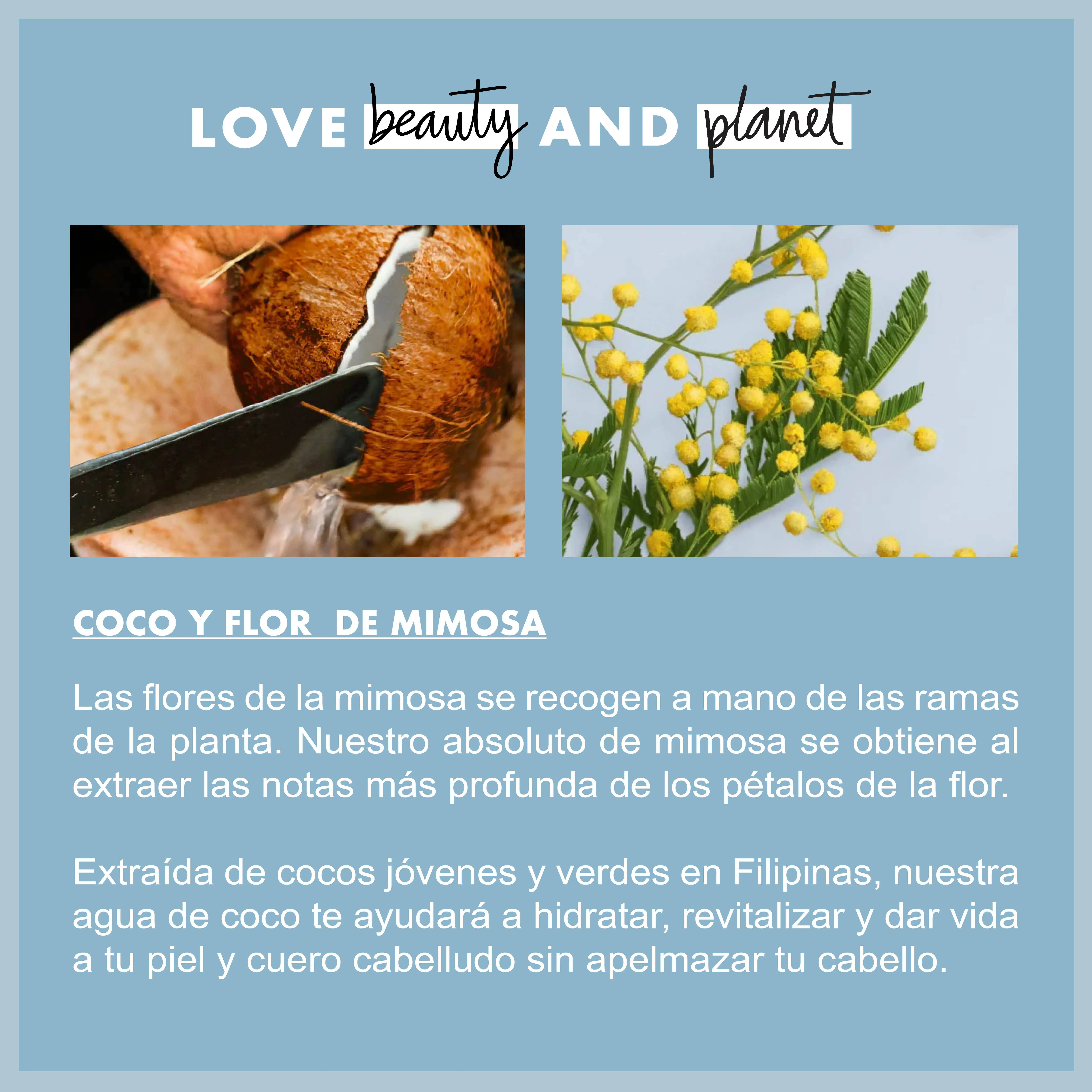 Шампунь LOVE BEAUTY AND PLANET Set гель для душа лосьон тела веганов кокосовая вода и