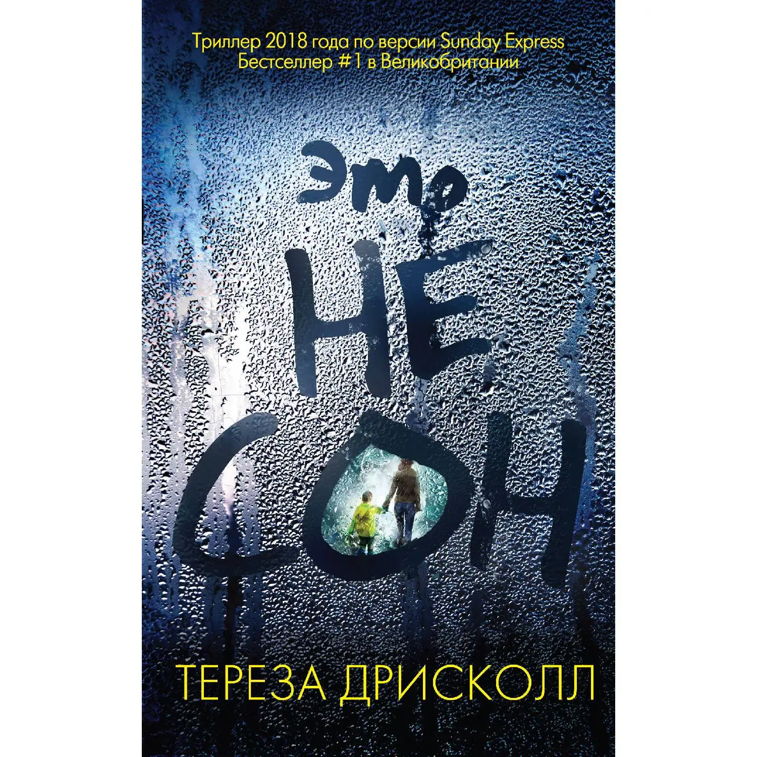 Это не сон. Тереза Дрисколл (Мчась в поезде за много миль от дома Софи получает по