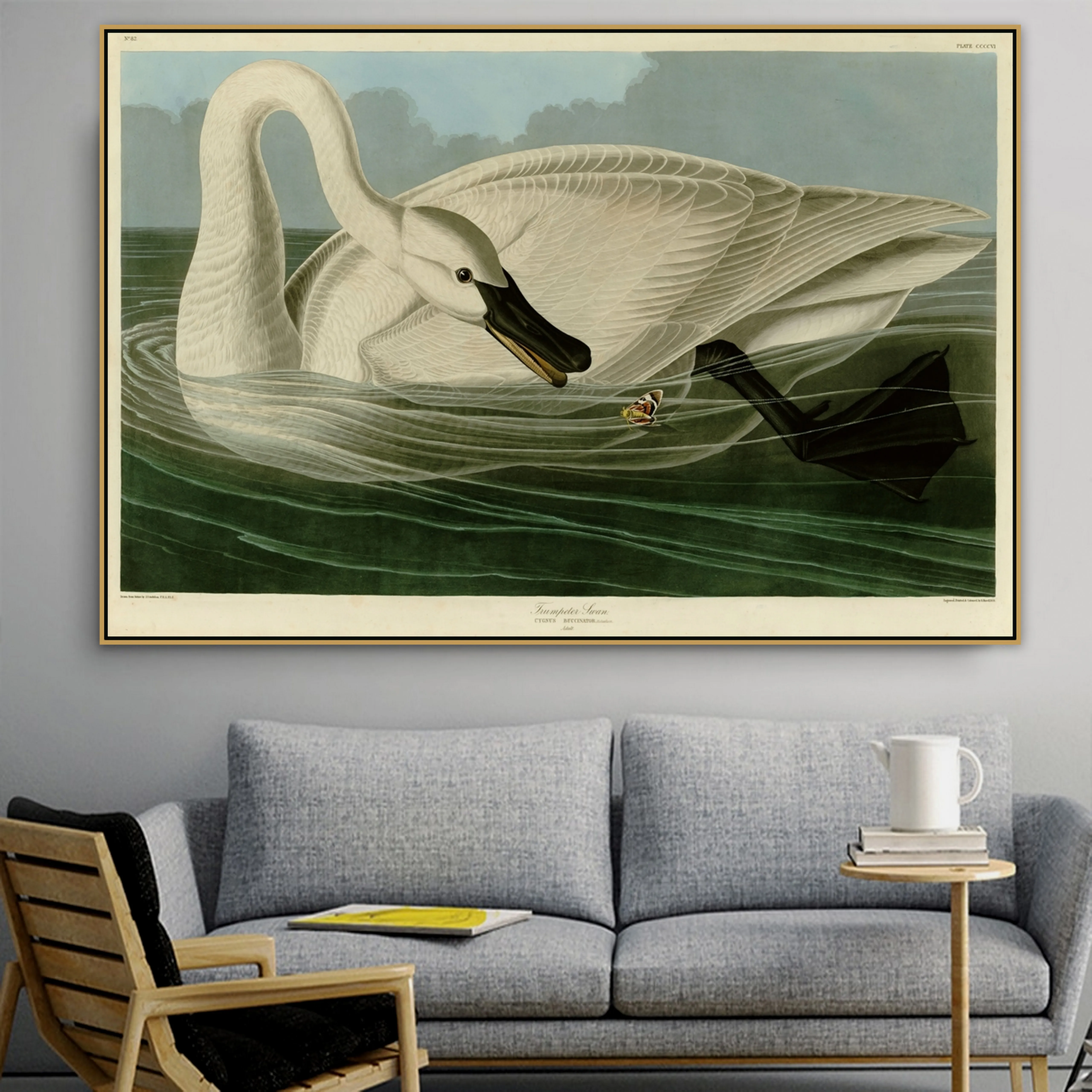 Джон Джеймс аудубон старый известный мастер художник Trumpeter Swan I холст картина