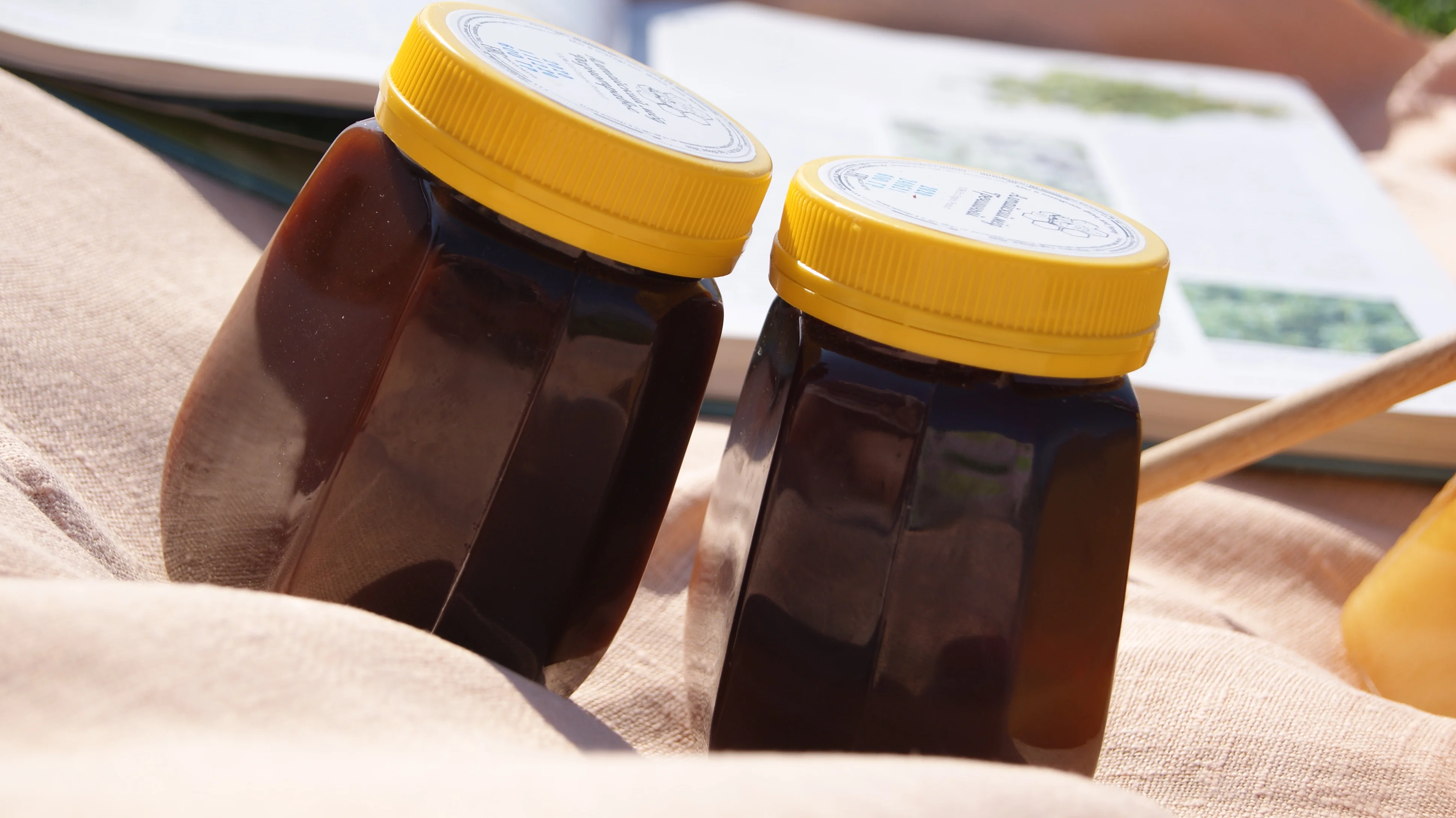 Мёд Разнотравье Цветочный Алтайский Натуральный 550 гр купить чай мед Алтай slash glass